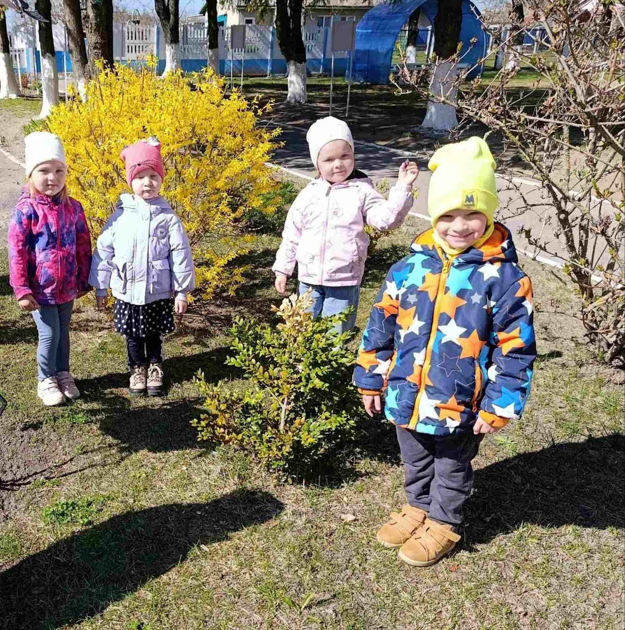 ВЕСЕННЯЯ ПРОГУЛКА - ЭТО НАБЛЮДЕНИЕ ЗА ПРОБУЖДЕНИЕМ ПРИРОДЫ